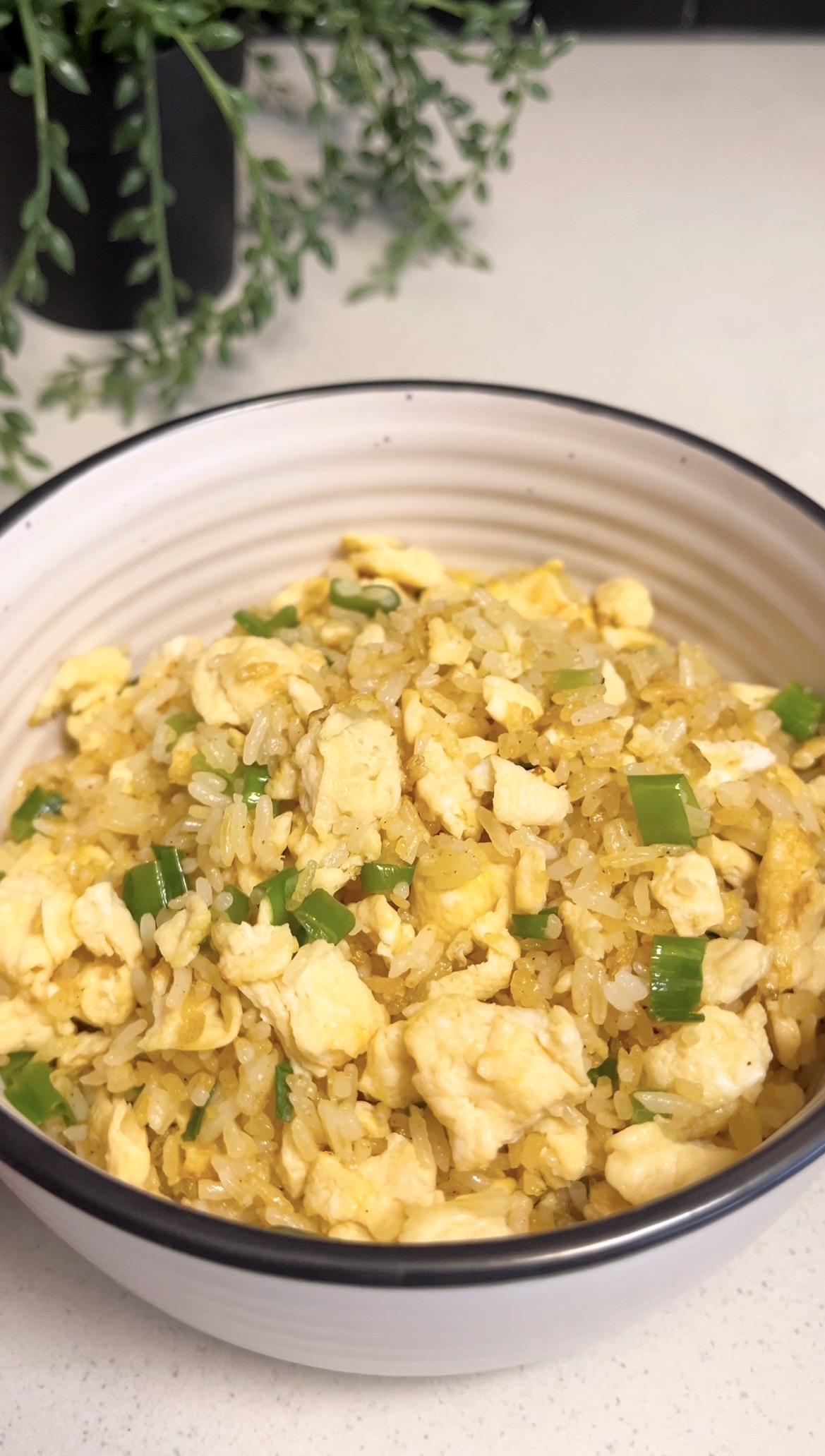 Golden Egg Fried Rice 🥚✨